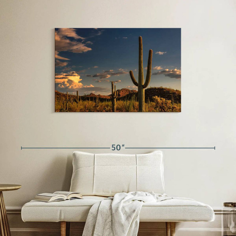 Cactus Harnek Tucson, H 26 po x l 39 po