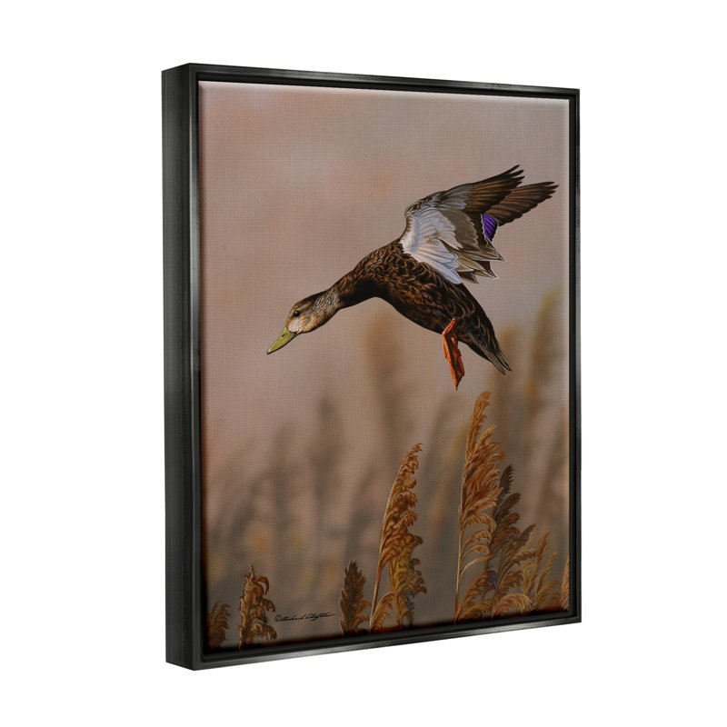 «Duck Flying» par Richard Clifton, H 31 po x l 25 po x P 1,7 po, Cadre flottant métallique doré