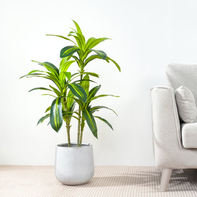 Anjely Faux Agave Plant