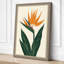 Bird of Paradise Botanical - Wrapped Canvas-2031700752-2031700775