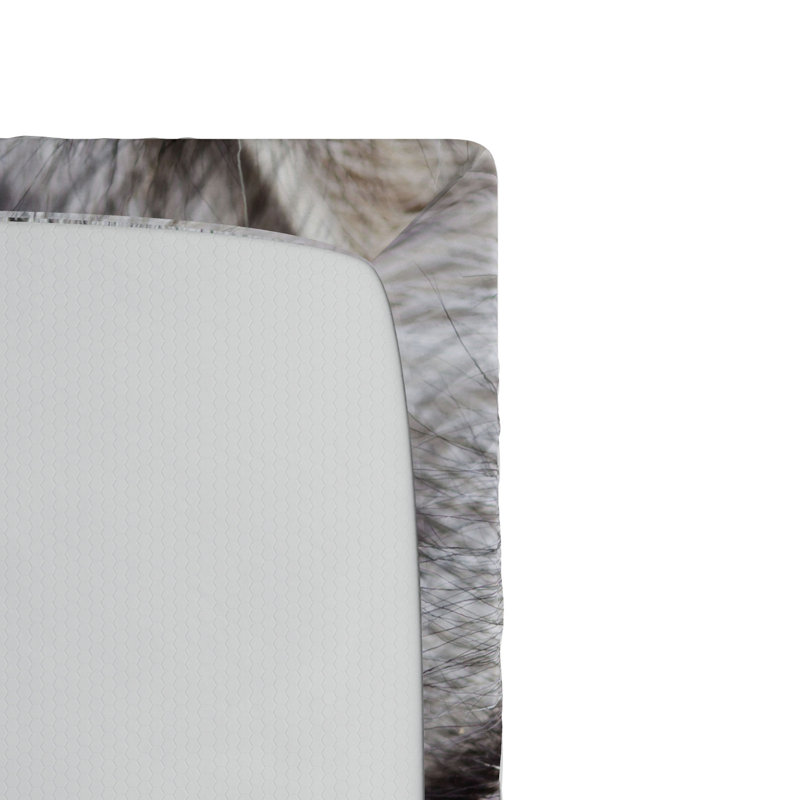 Microfiber Fitted Sheet, Queen Fitted Sheet