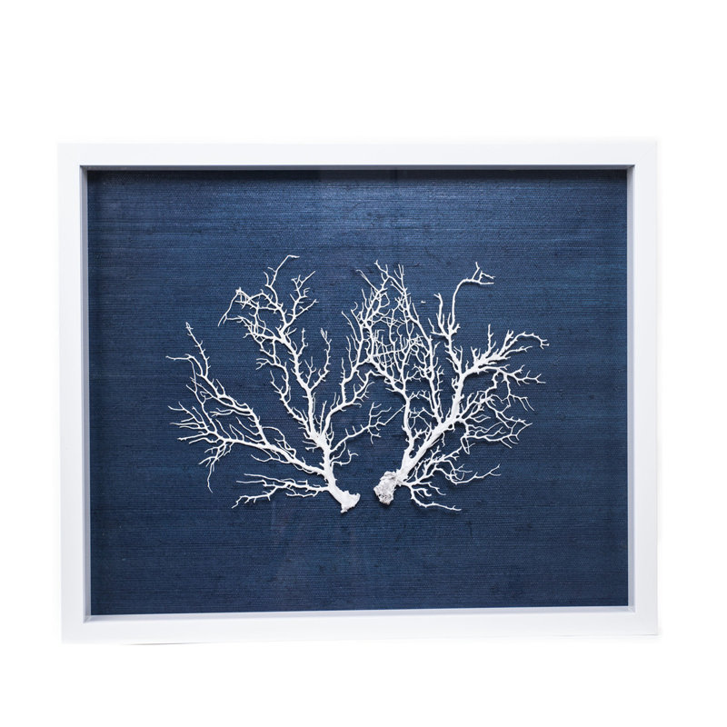 Sealife Print