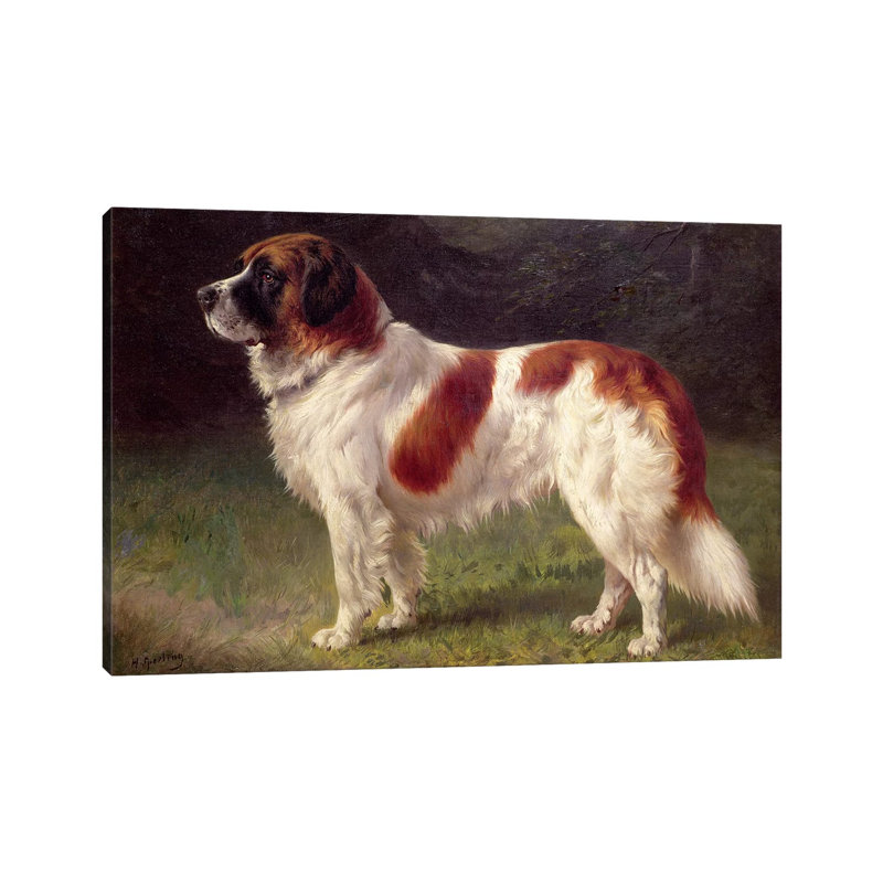 St. Bernard 1 Piece Wrapped Canvas Painting, 30.48 cm H x 45.72 cm W