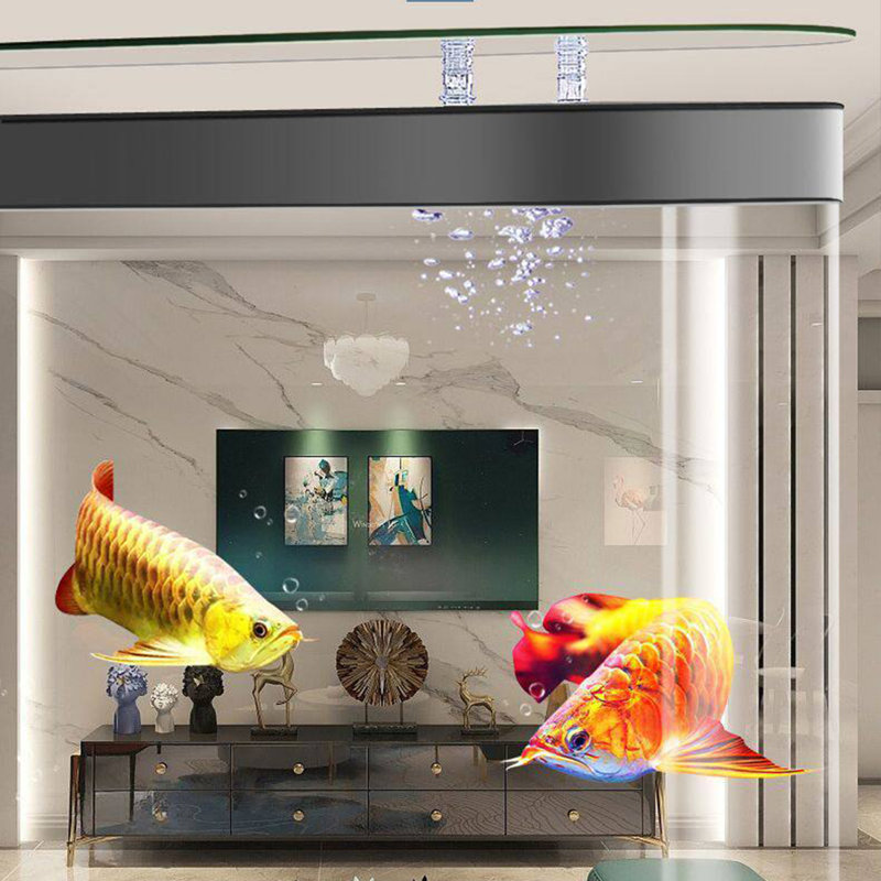 Aquarium 135-145 gallons, 39.37, Gris