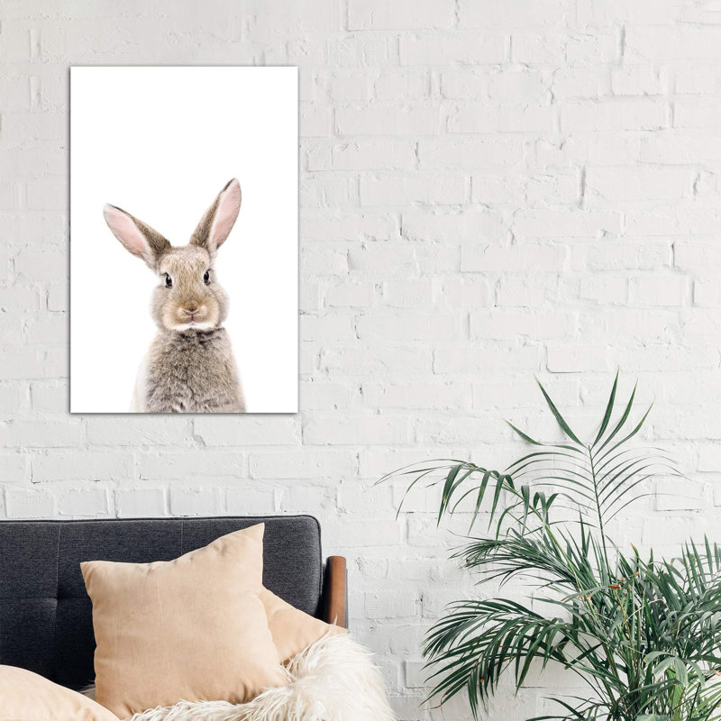 Baby Bunny - Wrapped Canvas Print, 101.6 cm H x 66.04 cm W x 3.175 cm D