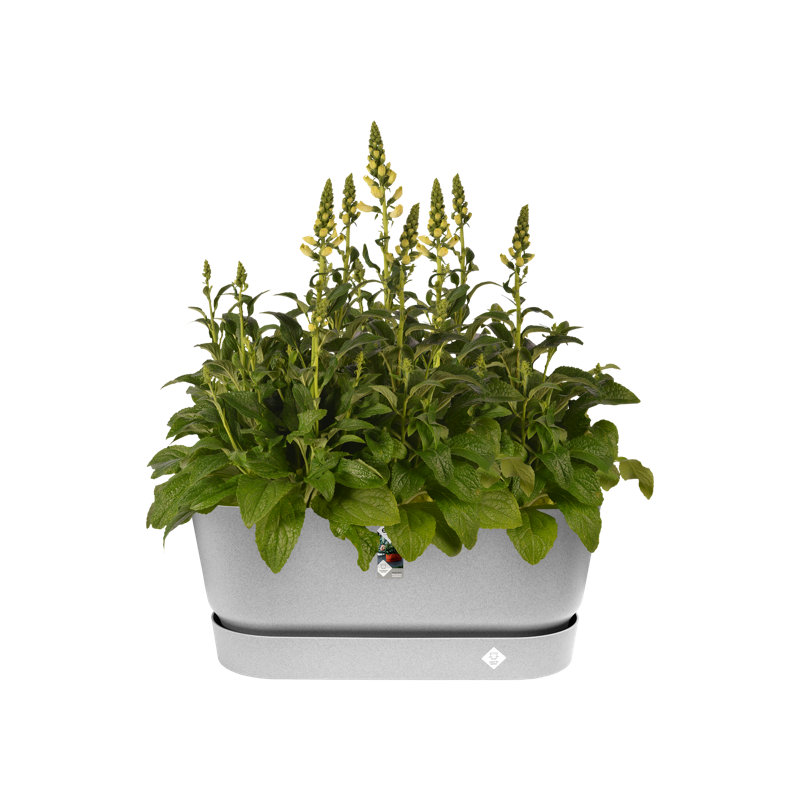 Planter Box, 33.5 x 35 x 78, Living Concrete