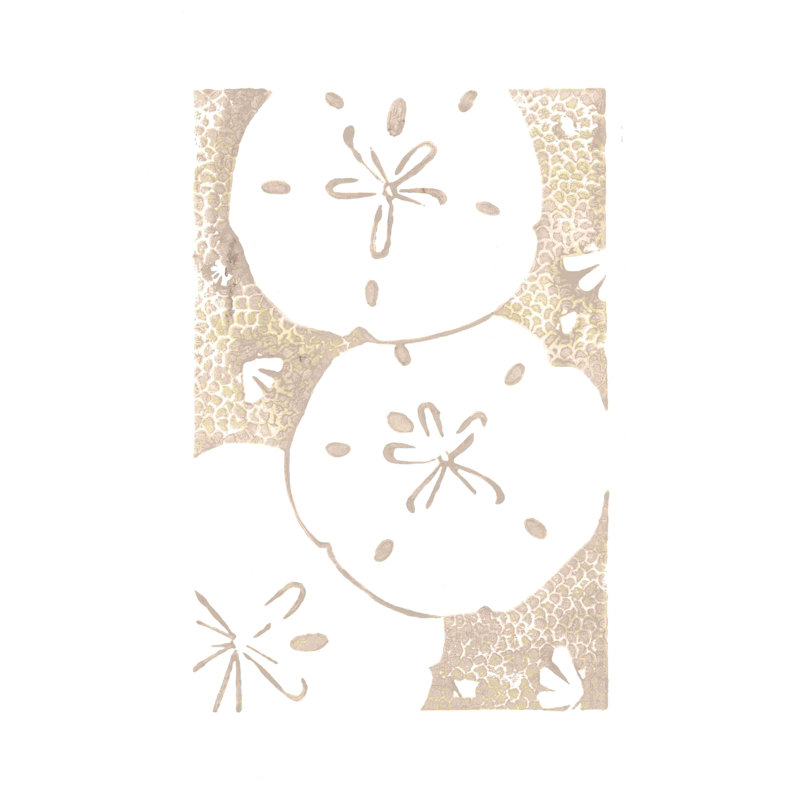 " Sand Dollar Print ", 12" H x 8" W  