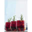 16,1 oz Hicham Verre à boire