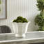 Mirabelle Ceramic Cachepot