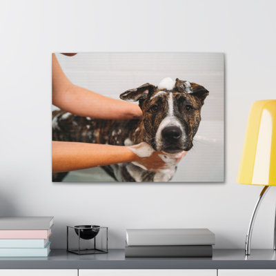 Adorable art mural sur toile, "Staffordshire Terrier Bathee"
