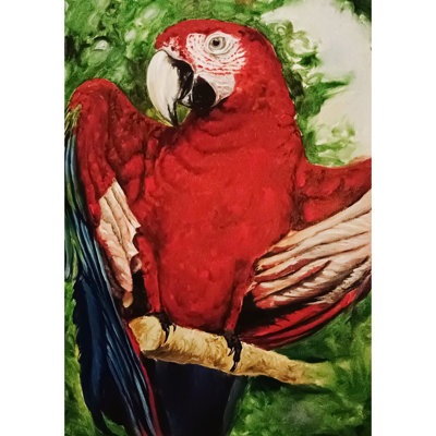 Scarlet Macaw | Oil On Canvas | Painting By Souvik Hazra