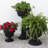 Grecian Urn Plastic Indoor/Outdoor Planter-486102853-486102852