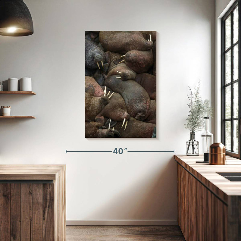 Brampt Walrus Rookery, 39" H x 26" W