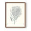 Antique encadré corail I - bois massif-268210497-268210510