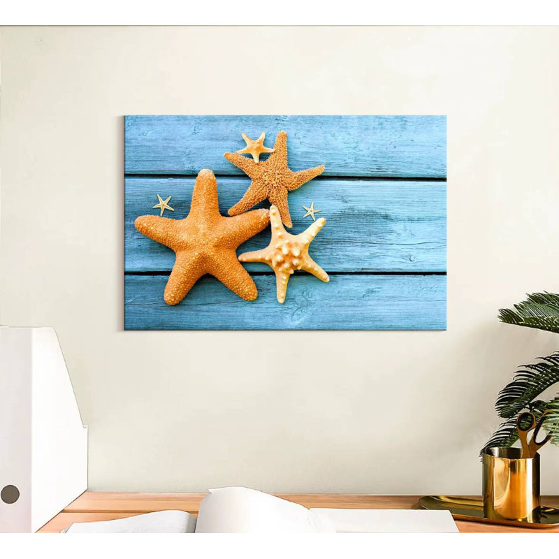 Starfish, H 8 po x l 12 po