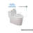 One-Piece Water Saver 4 GPF Compact Elongated Commercial Grade Dual Flush Toilet