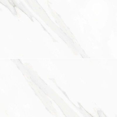 Delaney 24" x 48" Polished Porcelain Floor and Wall Tile