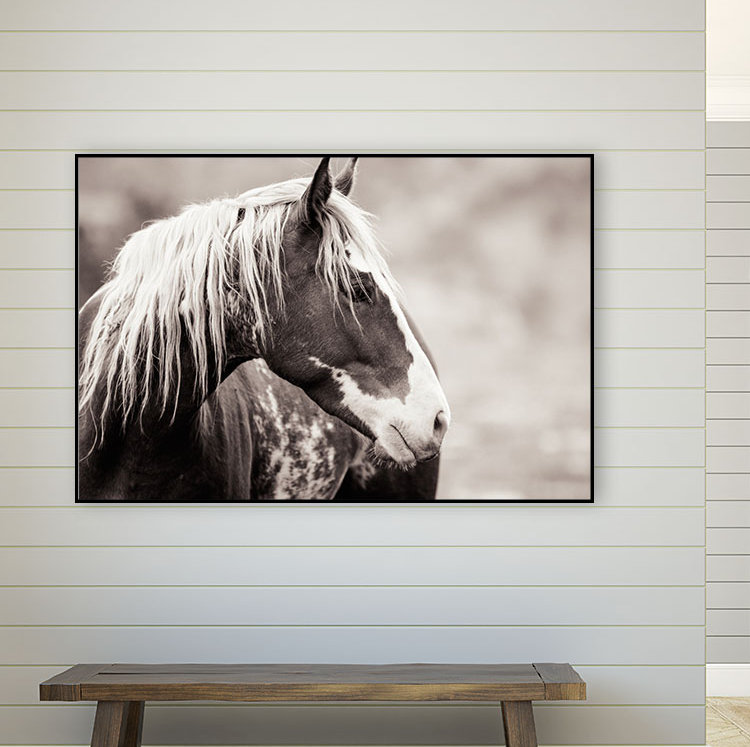 « wild paint », reproduction de photo sur toile, H 22 po x l 28 po x P 2 po