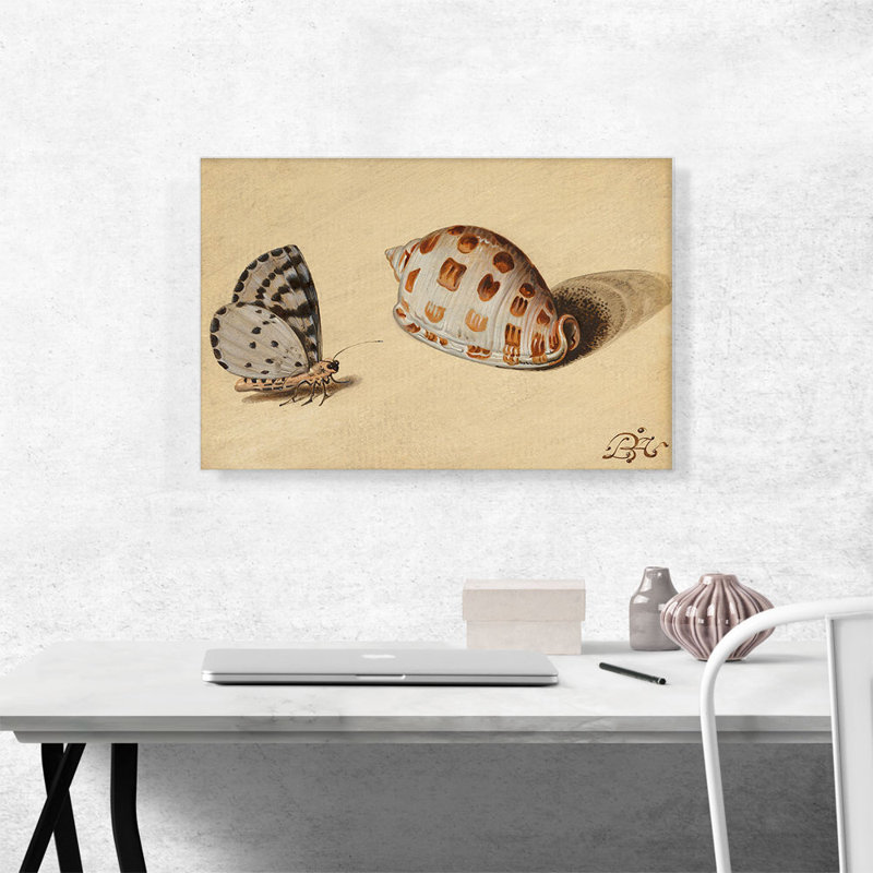 " An Arrowhead Blue Butterfly And A Scotch Bonnet Sea Shell " by Balthasar Van Der Ast, 18" H x 26" W x 0.75" D