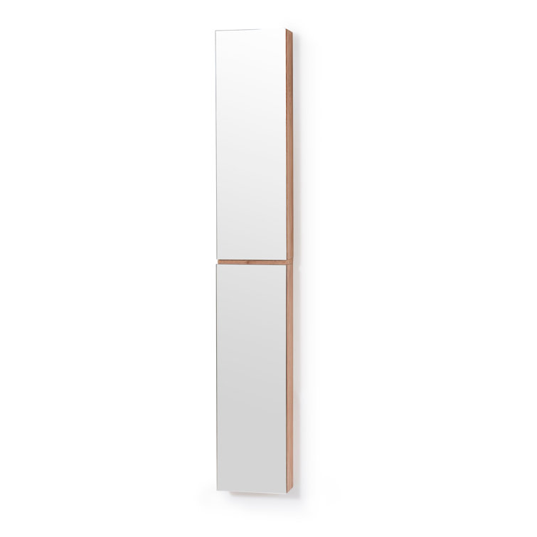Zone 10'' W 64'' H Surface Frameless Medicine Cabinet with Mirror and 6 Adjustable Shelves