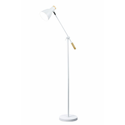 Yuraima 55'' Task Floor Lamp