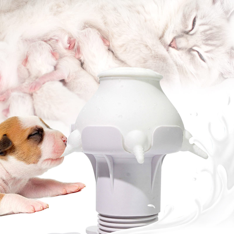 Bouteille d'eau Puppy, Blanc
