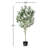 Vickerman Artificial Green Olive Tree in Black Planters Pot.-73286564