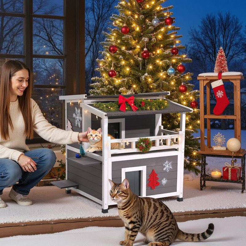 Cat House