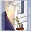 Steel Wallchiere-164322480