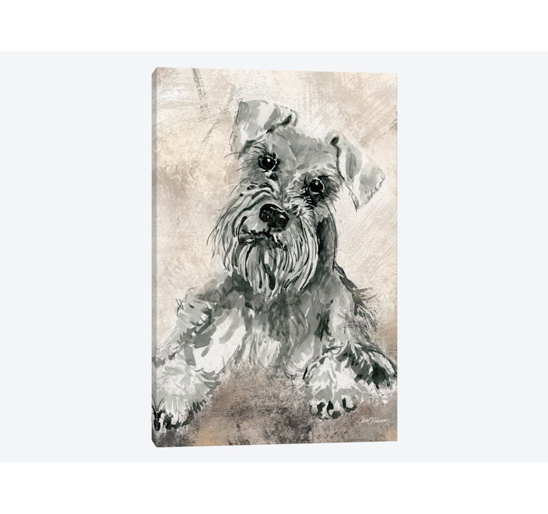 « sketchy study : schnauzer », impression sur toile, H 12 po x l 8 po x P 0,75 po, Toile tendue, Pas de tapis