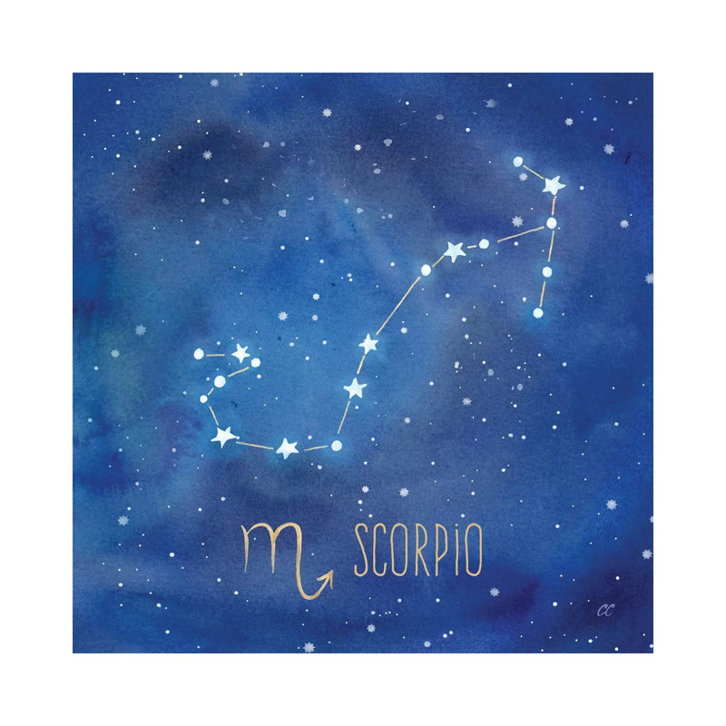 Star Sign Scorpio by Cynthia Coulter - Wrapped Canvas Print, 30.48 cm H x 30.48 cm W