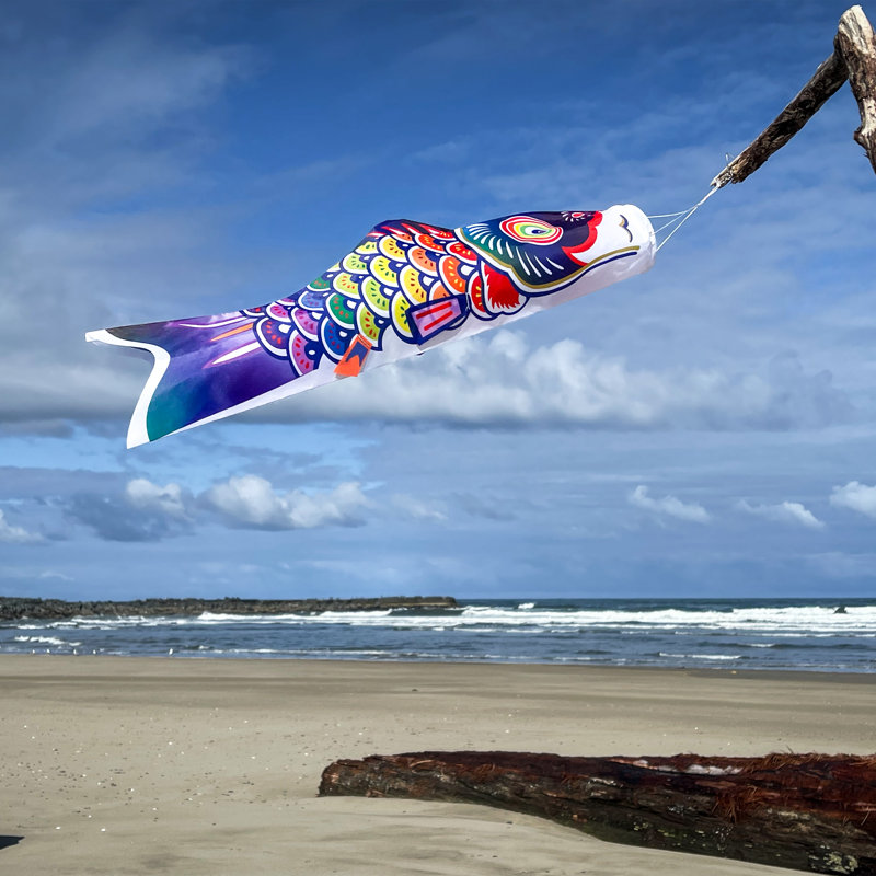 Spectre Koi Fishsock, H 60 po x l 13 po, Mauve / Vert / Jaune
