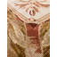 Oriental Area Rug in Beige