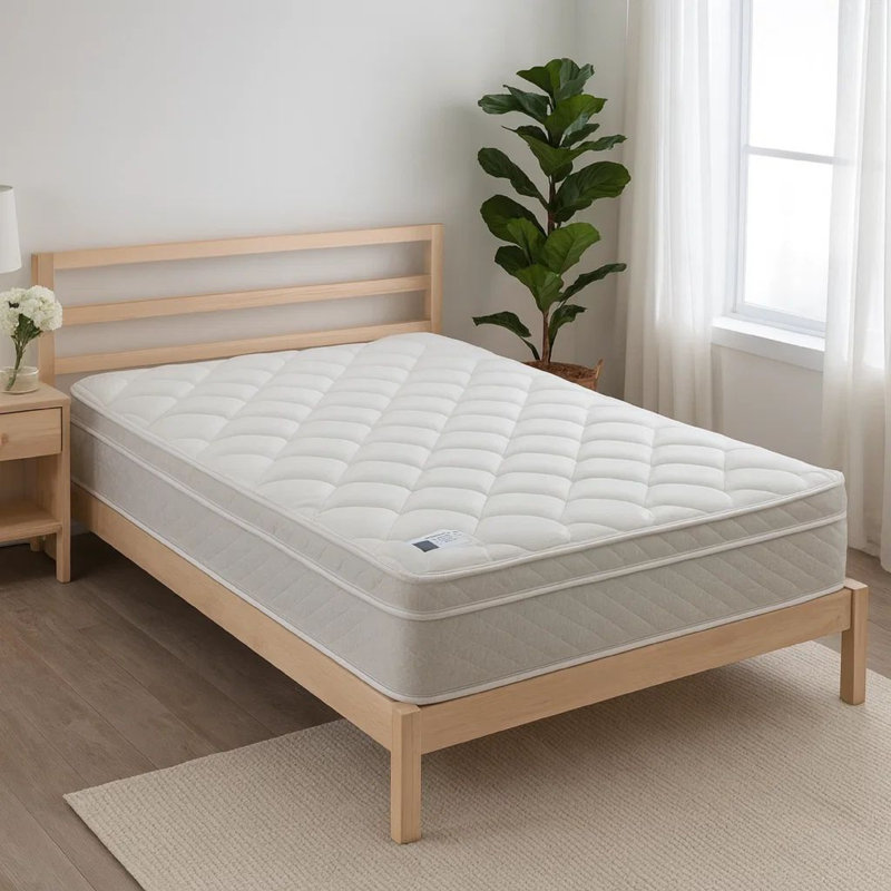 Reinbeck 9'' Plush Memory Foam Mattress, California King