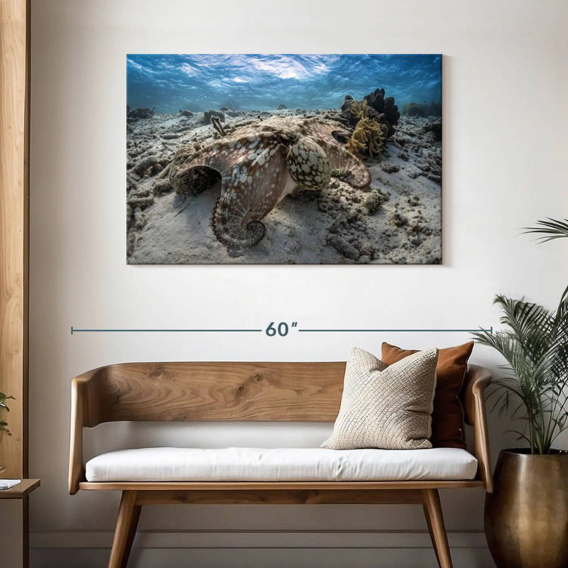 Brampt Stealthy Octopus, 30" H x 45" W