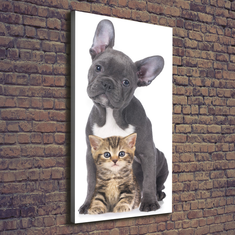 Dog And Cat - Wrapped Canvas Print