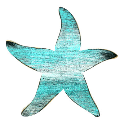 Aimant étoile de mer