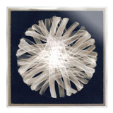 Scent Of Dandelion III Painting by Janice Sadler