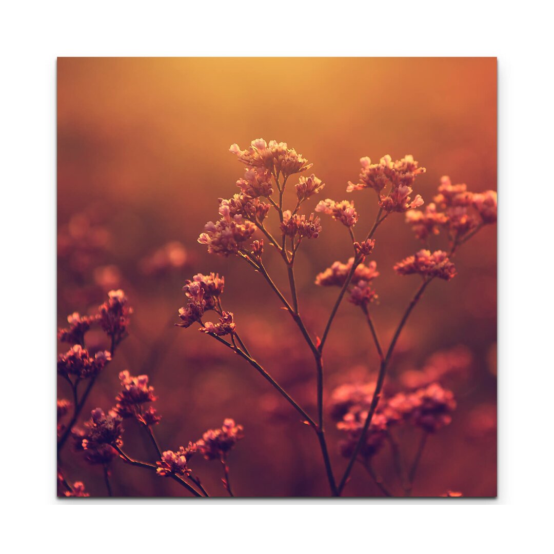 Leinwandbild Blume im Sonnenuntergang