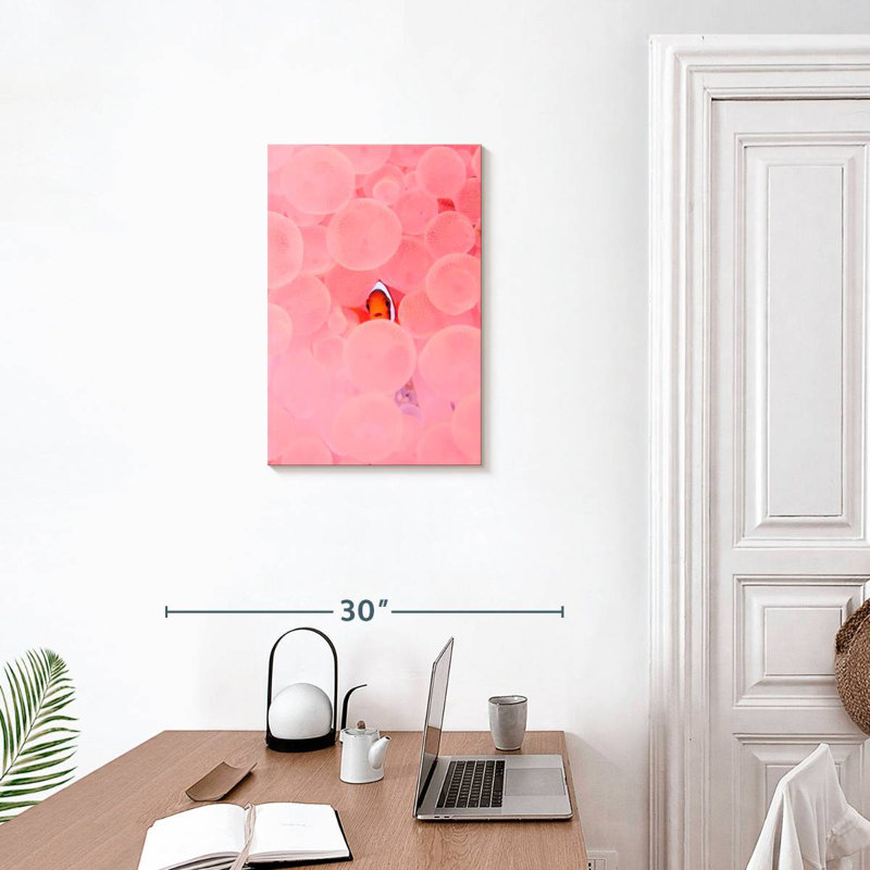 Brampt Pink Habitat Clownfish, 24" H x 16" W