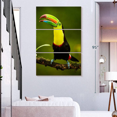 Toucan arc-en-ciel Brampt