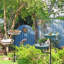 Birdbath-532576247