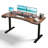 Wrought Studio Oneita 63" x 30" Dual Motor Electric Standing Desk with Ergonomic Curved Top, 4 Memory Presets & Integrated 20W USB-C Fast Charging - Professional Home Office Workstation (Walnut) Vintage Brown