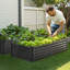 Jardinière en métal surélevée avec jardin 6x3x1.5ft