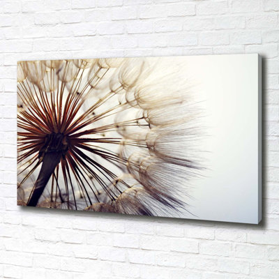 Dandelion - Wrapped Canvas Print