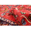 Tapis rouge Anadol 2 pi 8 po x 10 pi 1 po