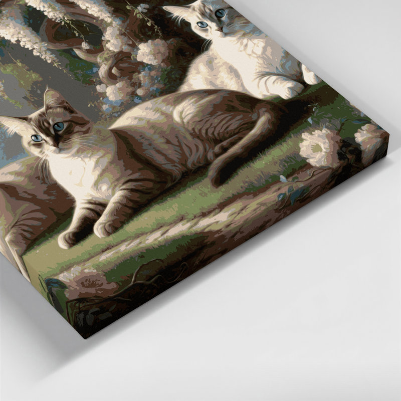 Cats tonkinois gris, art mural sur toile, H 12 po x l 18 po