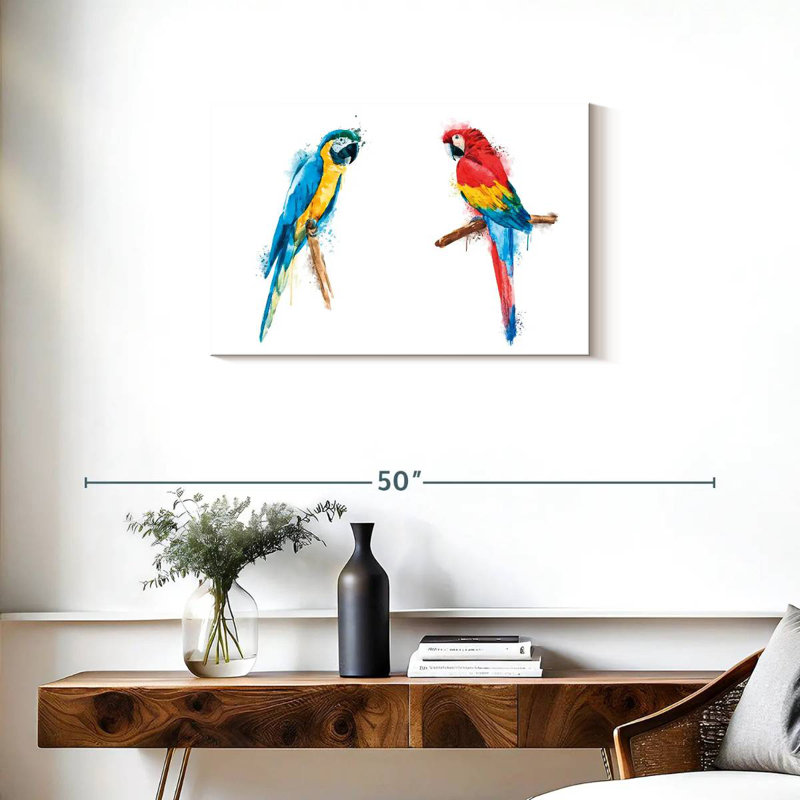 Macaw Duo Color Splash