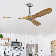Karly 60" Ceiling Fan with LED Lights