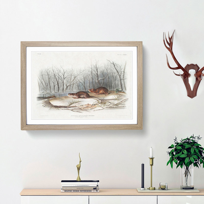 Meadow Mouse by J.W. Audubon - Framed Print, Oak Framed, 27cm H x 36cm W x 2cm D